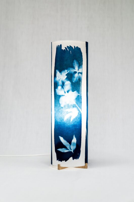 Lampes roses de noel en cyanotype M