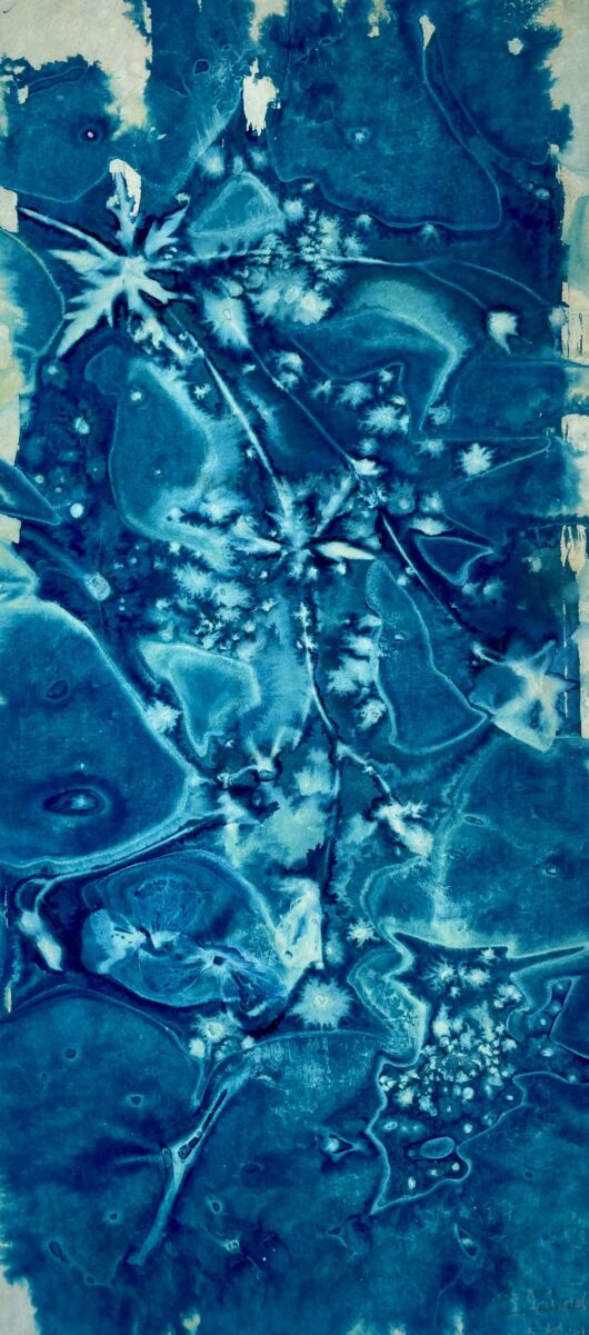 Cyanotype en kakemono aux feuilles d'érables