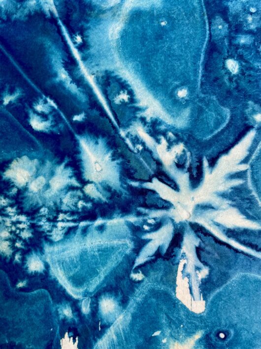 Cyanotype en kakemono aux feuilles d'érables – Image 2